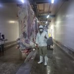 Rastro Municipal TIF refuerza trazabilidad del ganado para garantizar alimentos seguros en Mazatlán