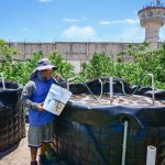 Personas Privadas de la Libertad siembran alevines de tilapia en el Centro Penitenciario El Castillo, en Mazatlán, y con ello cultivan la esperanza de un futuro digno