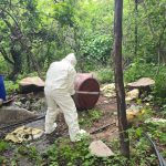 Marina localiza y destruye tres laboratorios clandestinos en el estado de Sinaloa